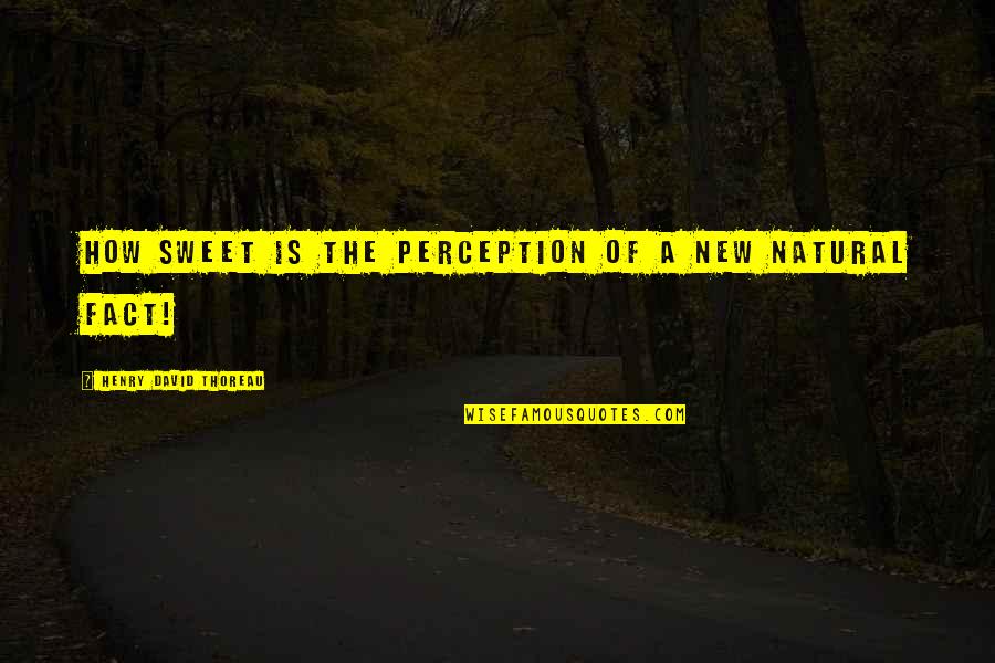 Selalunya In English Quotes By Henry David Thoreau: How sweet is the perception of a new Selalunya In English Quotes By Henry David Thoreau: How sweet is the perception of a new