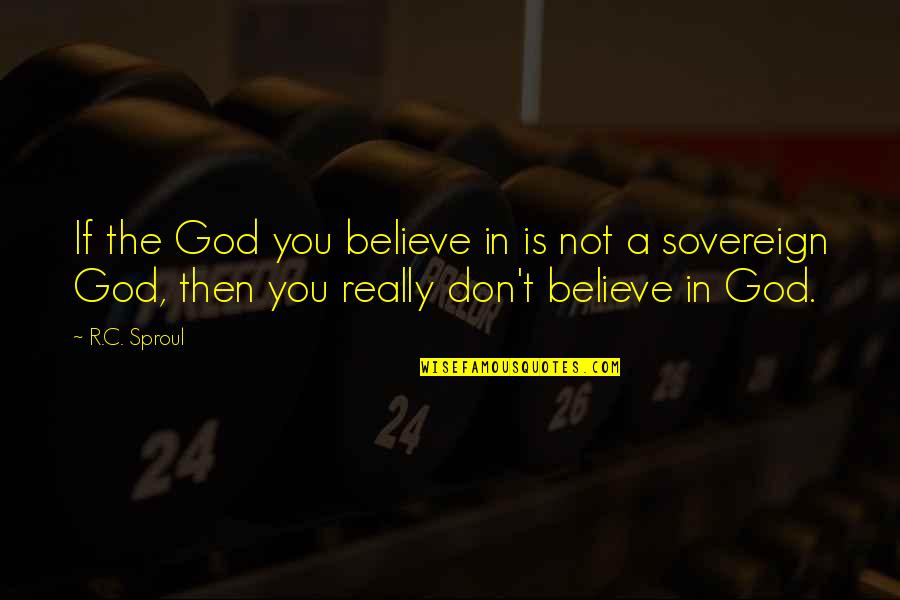 Seleccionado Significado Quotes By R.C. Sproul: If the God you believe in is not Seleccionado Significado Quotes By R.C. Sproul: If the God you believe in is not
