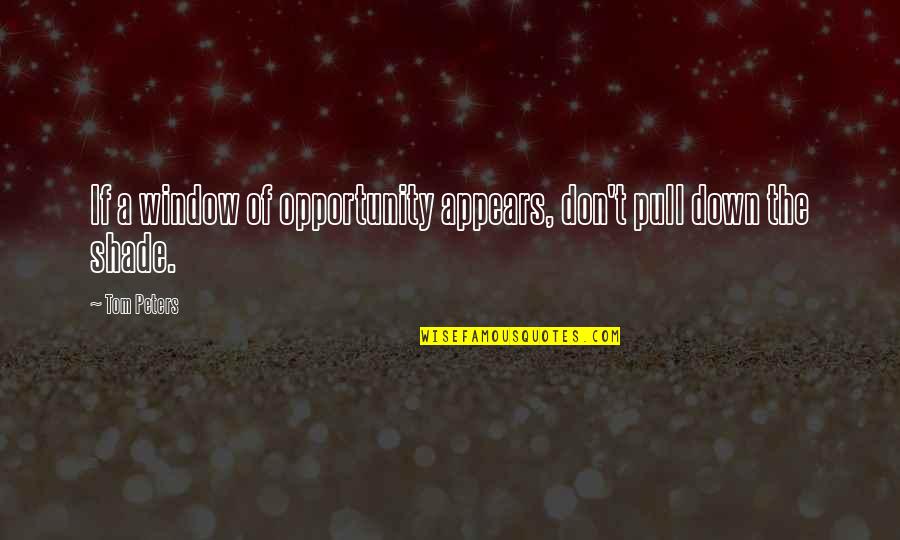 Selectively Quotes By Tom Peters: If a window of opportunity appears, don't pull