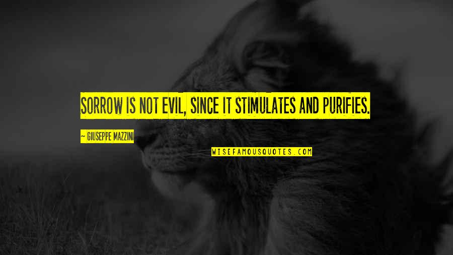 Selectives Shoe Quotes By Giuseppe Mazzini: Sorrow is not evil, since it stimulates and Selectives Shoe Quotes By Giuseppe Mazzini: Sorrow is not evil, since it stimulates and