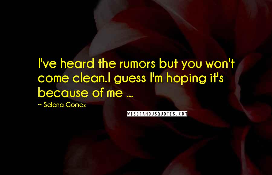 Selena Gomez quotes: I've heard the rumors but you won't come clean.I guess I'm hoping it's because of me ...
