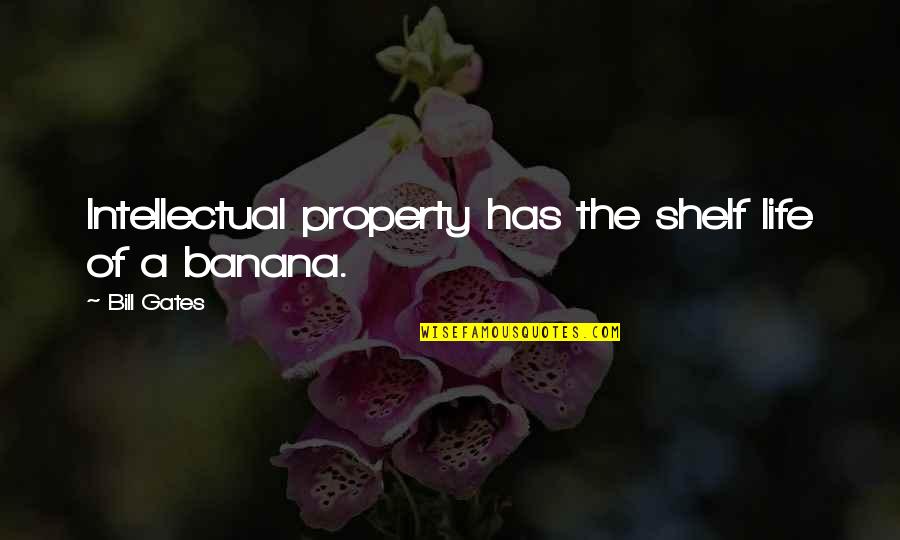 Selene Moon Goddess Quotes By Bill Gates: Intellectual property has the shelf life of a