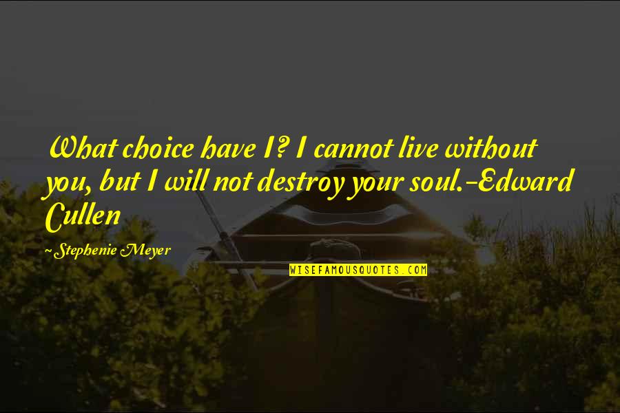 Self Absorbed Man Quotes By Stephenie Meyer: What choice have I? I cannot live without