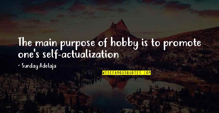 Self Actualization Quotes By Sunday Adelaja: The main purpose of hobby is to promote