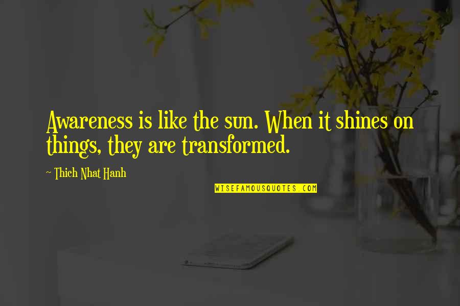 Self Adore Quotes By Thich Nhat Hanh: Awareness is like the sun. When it shines
