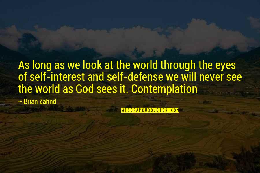 Self And God Quotes By Brian Zahnd: As long as we look at the world