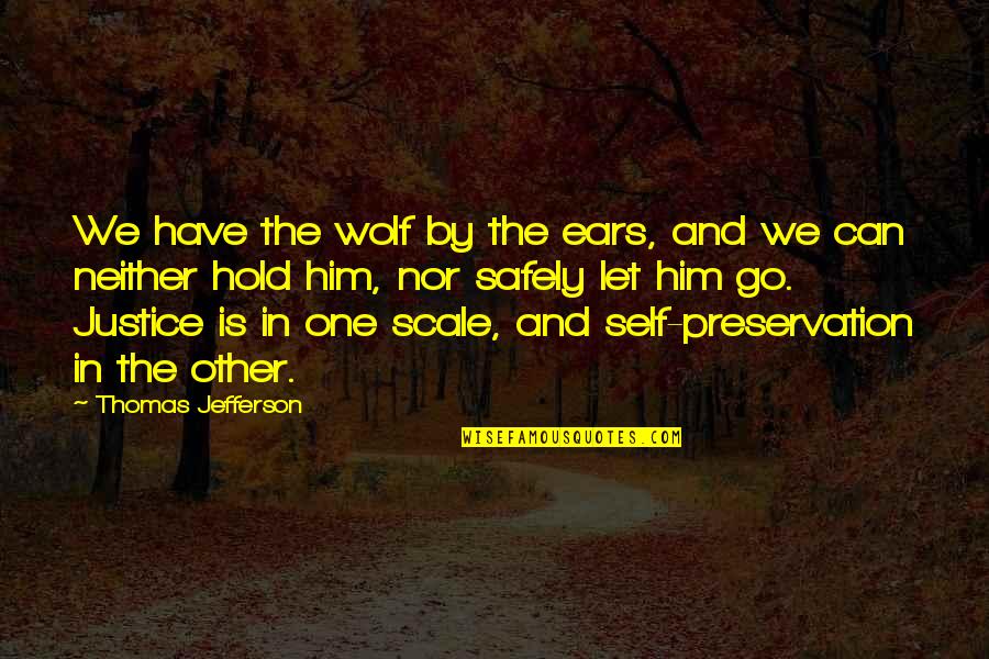 Self And Other Quotes By Thomas Jefferson: We have the wolf by the ears, and