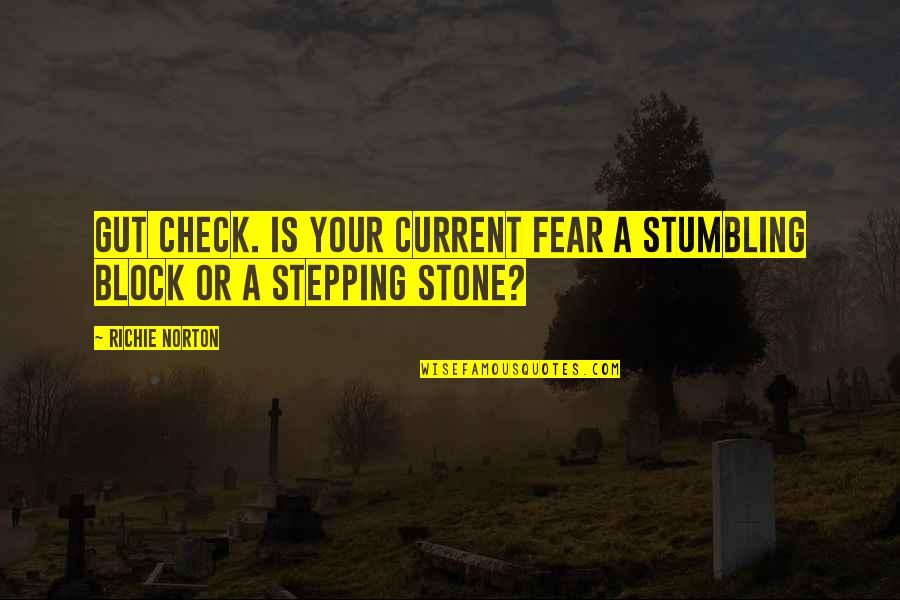 Self Check Out Quotes By Richie Norton: Gut check. Is your current fear a stumbling