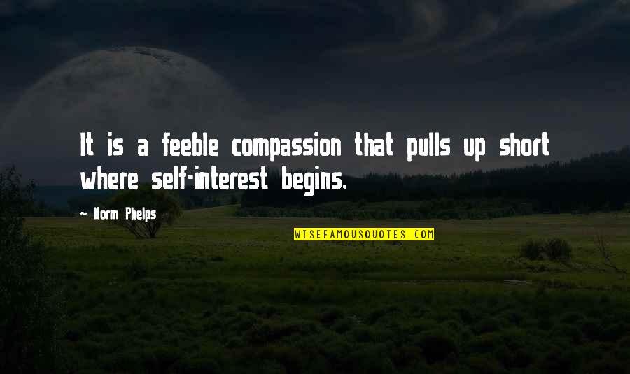 Self Compassion Quotes By Norm Phelps: It is a feeble compassion that pulls up