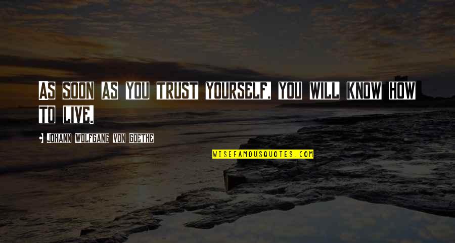 Self Conduct Quotes By Johann Wolfgang Von Goethe: As soon as you trust yourself, you will