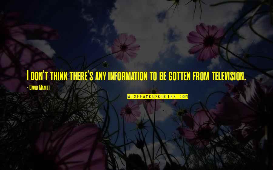 Self Confidence For Kids Quotes By David Mamet: I don't think there's any information to be
