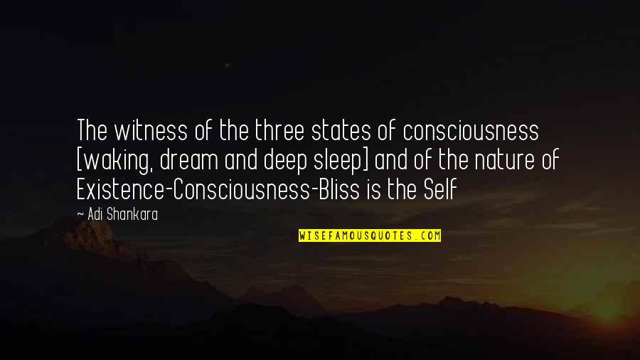 Self Consciousness Quotes By Adi Shankara: The witness of the three states of consciousness