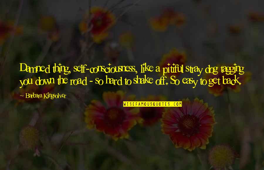 Self Consciousness Quotes By Barbara Kingsolver: Damned thing, self-consciousness, like a pitiful stray dog