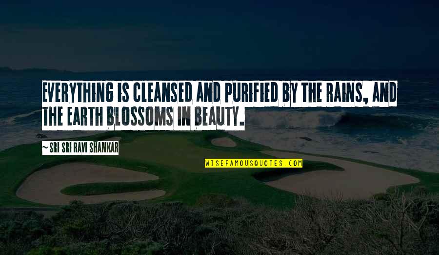 Self Contented Quotes By Sri Sri Ravi Shankar: Everything is cleansed and purified by the rains,