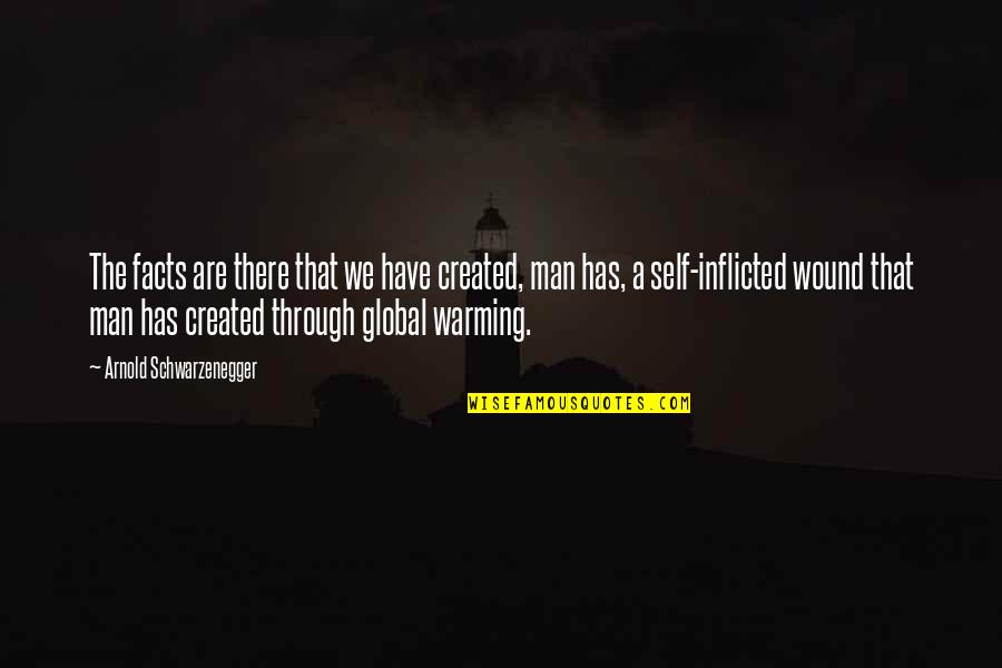 Self Created Quotes By Arnold Schwarzenegger: The facts are there that we have created,