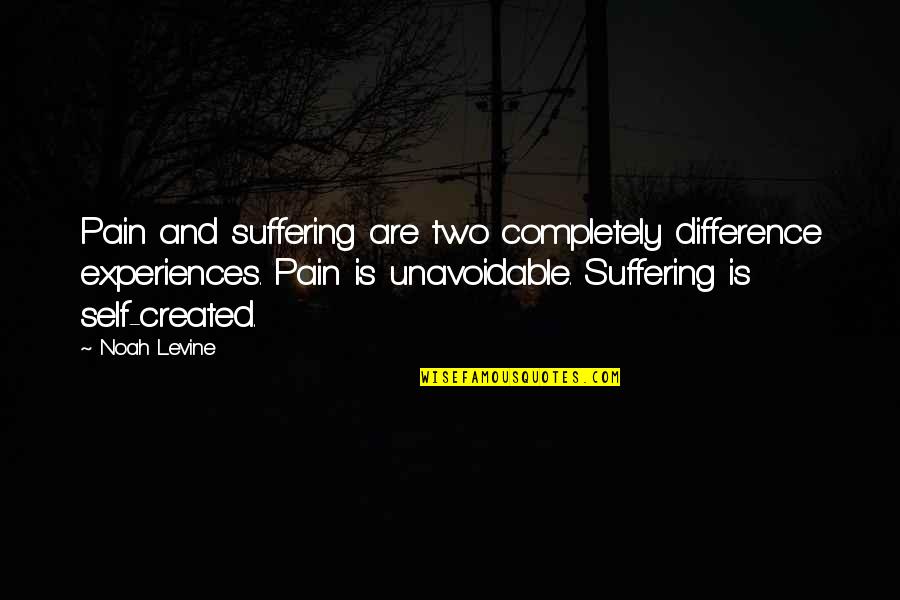 Self Created Quotes By Noah Levine: Pain and suffering are two completely difference experiences.