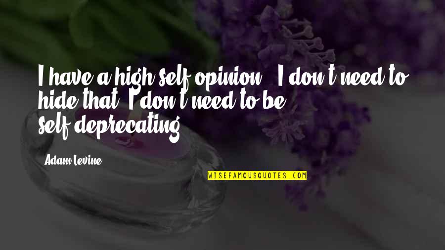 Self Deprecating Quotes By Adam Levine: I have a high self-opinion - I don't