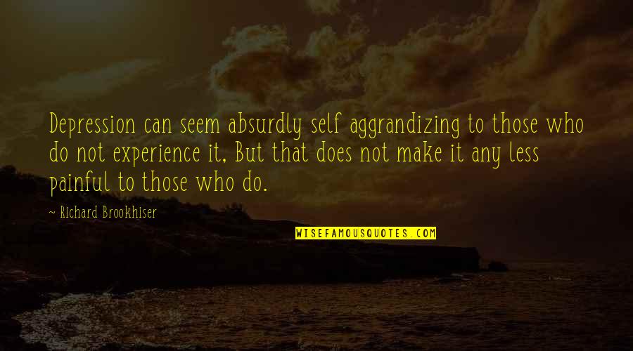 Self Depression Quotes By Richard Brookhiser: Depression can seem absurdly self aggrandizing to those