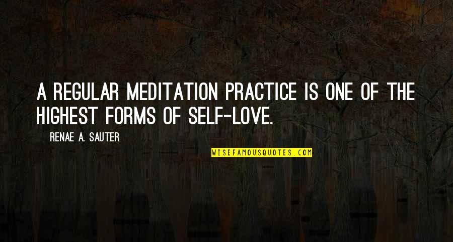 Self Development Quotes By Renae A. Sauter: A regular meditation practice is one of the