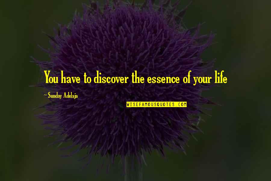 Self Employment Quotes By Sunday Adelaja: You have to discover the essence of your