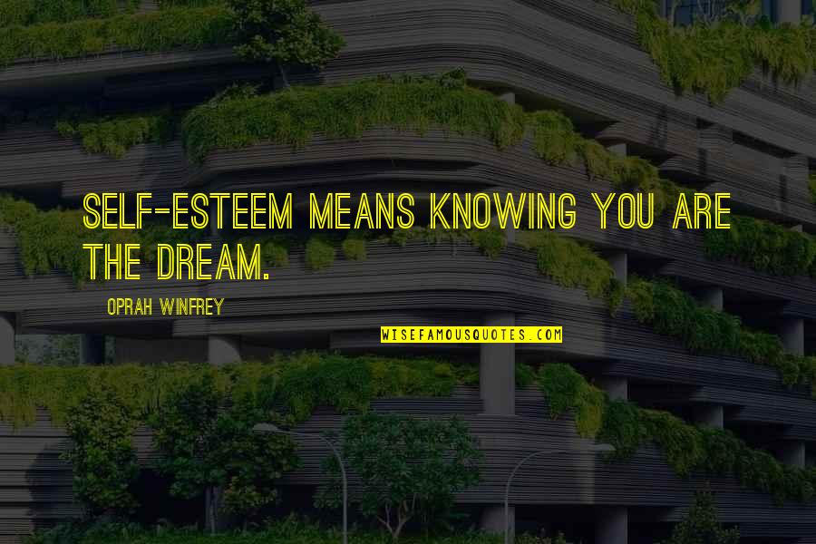 Self Esteem And Happiness Quotes By Oprah Winfrey: Self-esteem means knowing you are the dream.