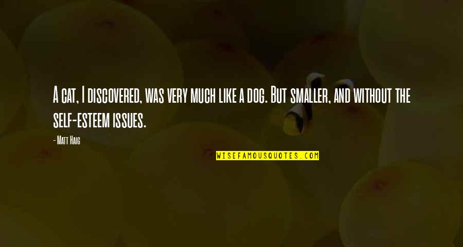 Self Esteem Issues Quotes By Matt Haig: A cat, I discovered, was very much like Self Esteem Issues Quotes By Matt Haig: A cat, I discovered, was very much like