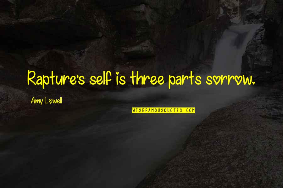 Self Experience Quotes By Amy Lowell: Rapture's self is three parts sorrow.