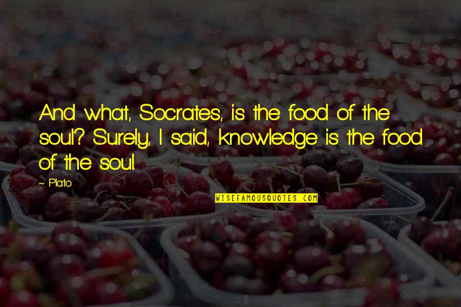 Self Help Funny Quotes By Plato: And what, Socrates, is the food of the