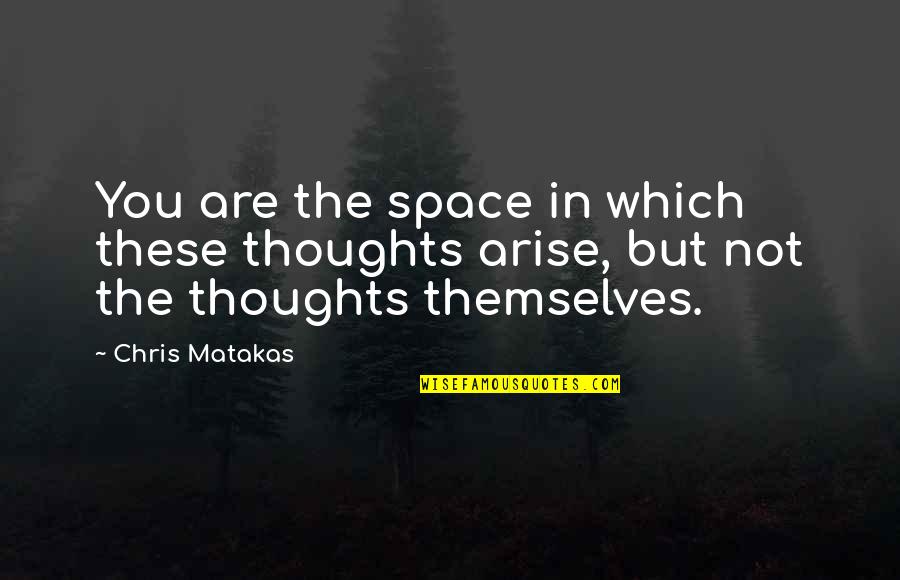 Self Identity Quotes By Chris Matakas: You are the space in which these thoughts