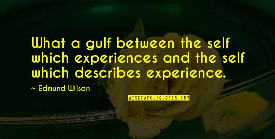 Self Identity Quotes By Edmund Wilson: What a gulf between the self which experiences