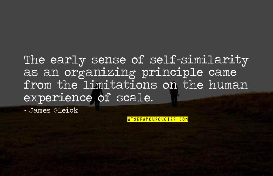 Self-imposed Limitations Quotes By James Gleick: The early sense of self-similarity as an organizing