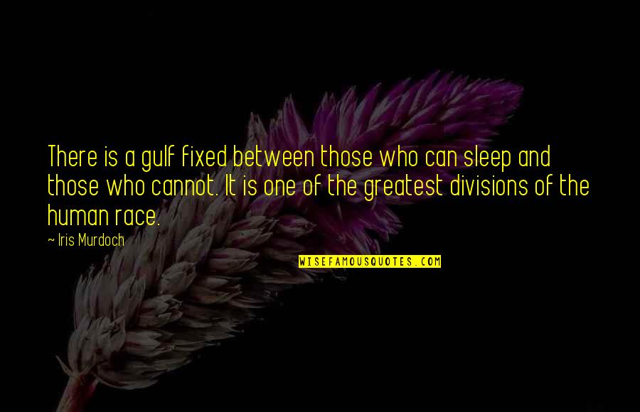 Self Inquiry Quotes By Iris Murdoch: There is a gulf fixed between those who