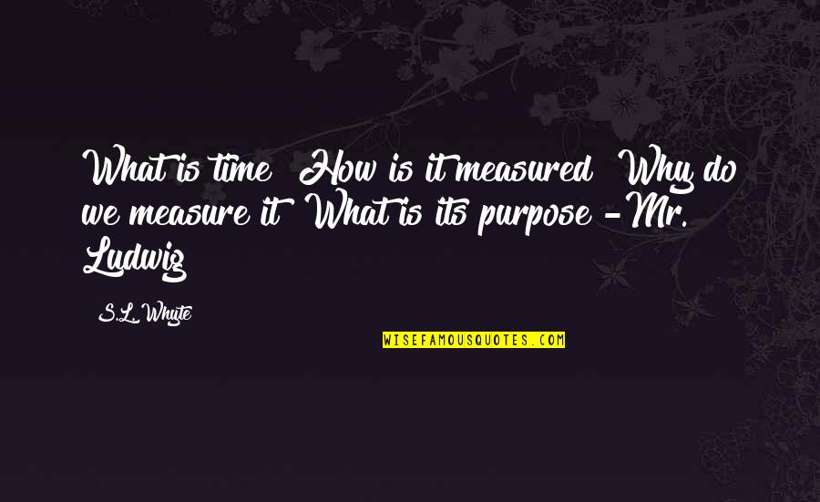 Self Made Millionaire Quotes By S.L. Whyte: What is time? How is it measured? Why