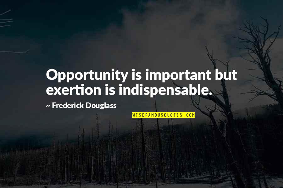 Self Made Quotes By Frederick Douglass: Opportunity is important but exertion is indispensable.