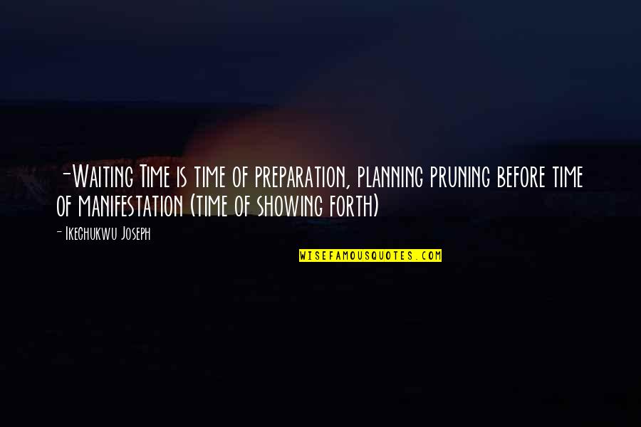 Self Manifestation Quotes By Ikechukwu Joseph: -Waiting Time is time of preparation, planning pruning