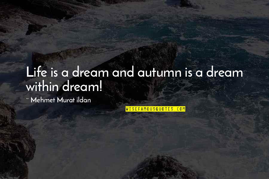 Self Medicated Quotes By Mehmet Murat Ildan: Life is a dream and autumn is a