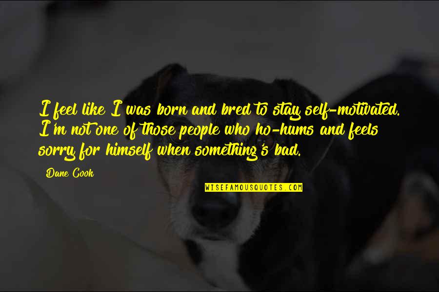 Self Motivated Quotes By Dane Cook: I feel like I was born and bred Self Motivated Quotes By Dane Cook: I feel like I was born and bred