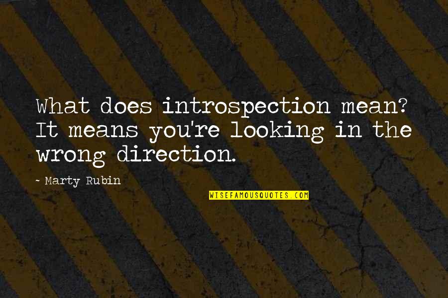 Self Observation Quotes By Marty Rubin: What does introspection mean? It means you're looking