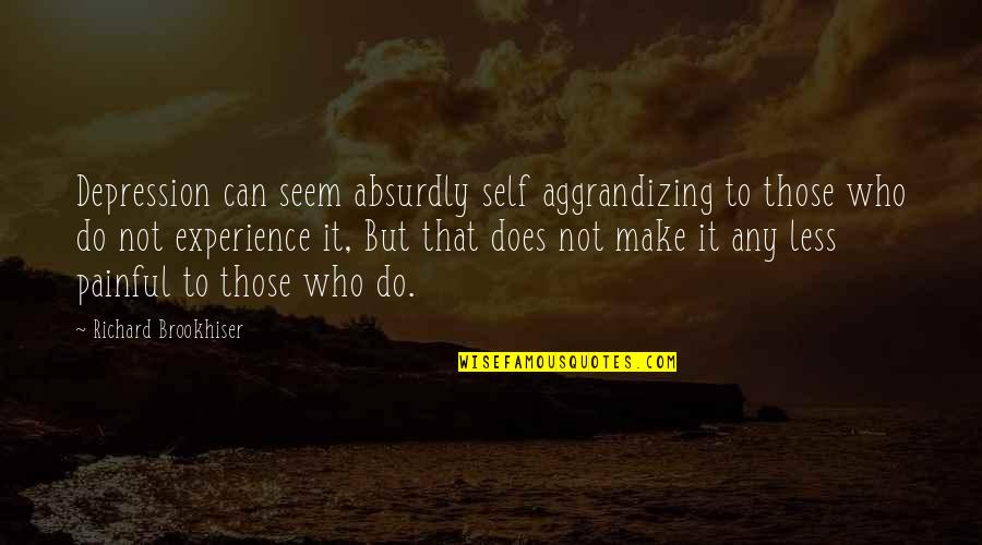 Self Perspective Quotes By Richard Brookhiser: Depression can seem absurdly self aggrandizing to those
