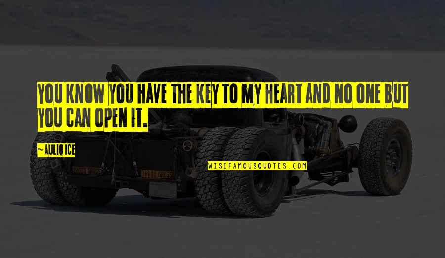 Self Respect English Quotes By Auliq Ice: You know you have the key to my
