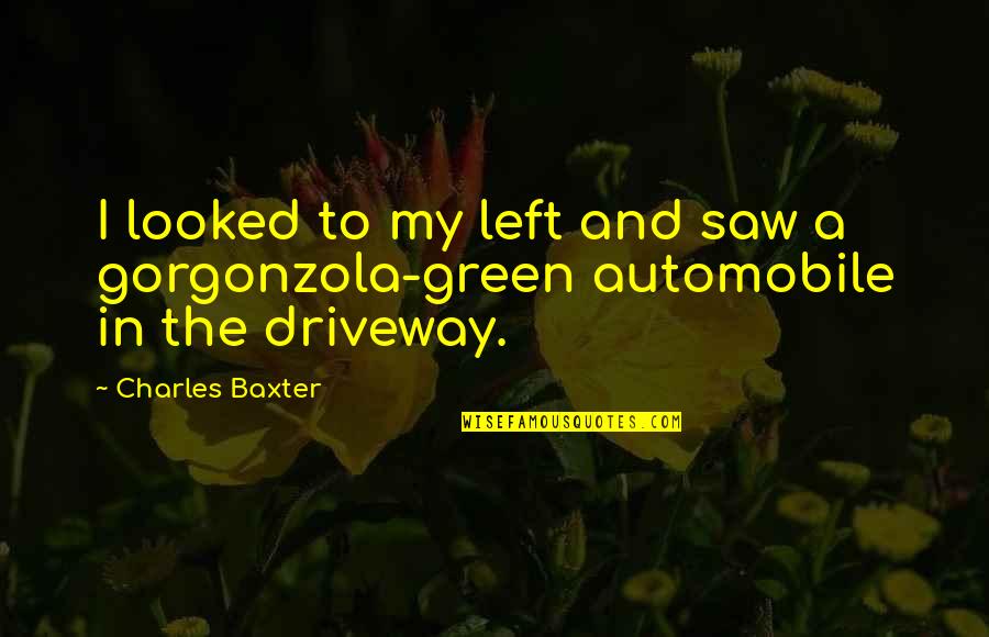 Self Salvation Quotes By Charles Baxter: I looked to my left and saw a