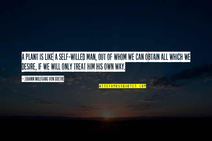 Self Treat Quotes By Johann Wolfgang Von Goethe: A plant is like a self-willed man, out