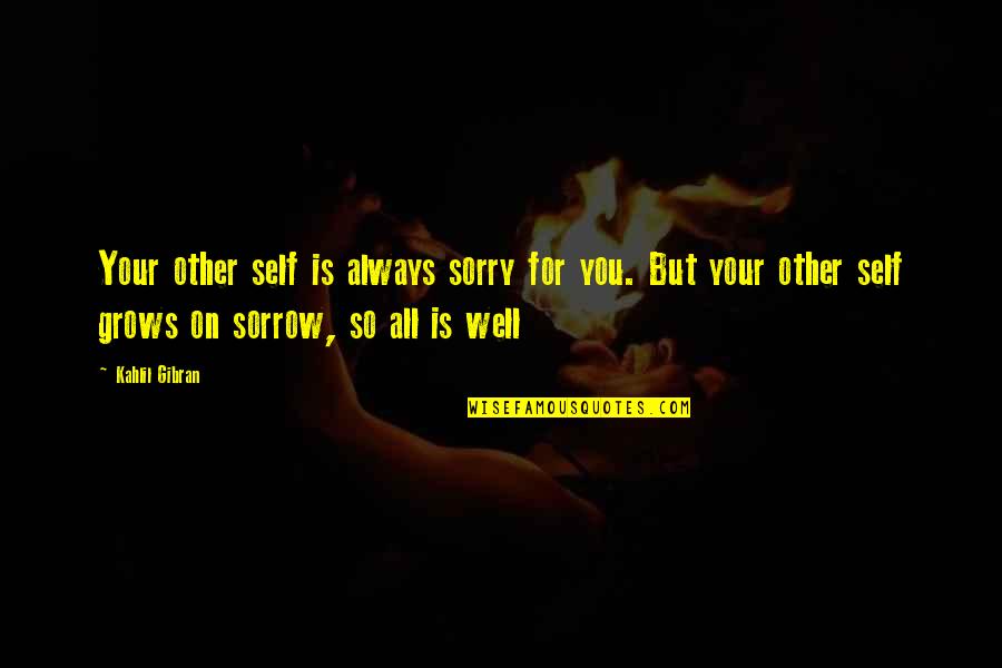 Self Well Quotes By Kahlil Gibran: Your other self is always sorry for you.