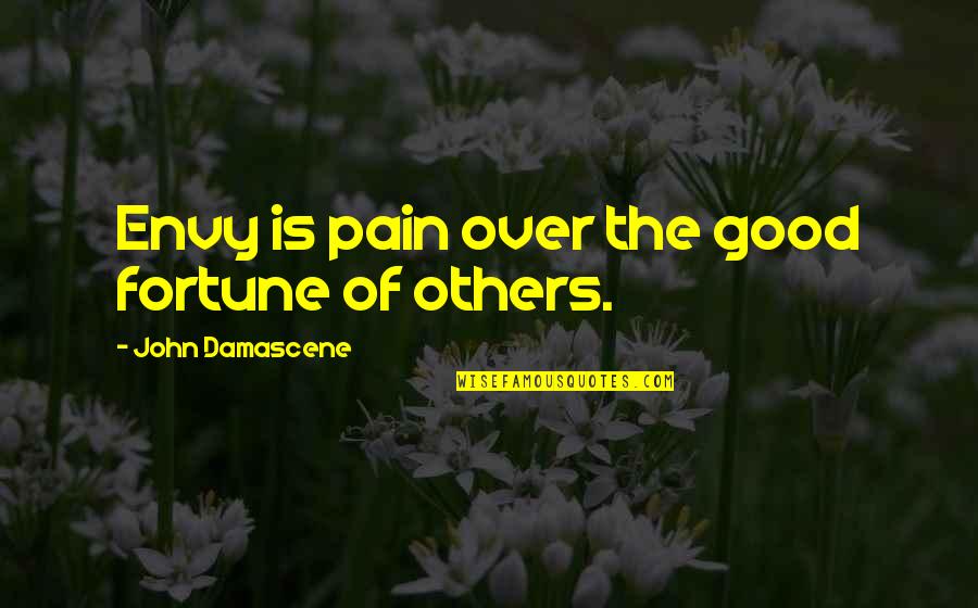 Self Worth Empowerment Quotes By John Damascene: Envy is pain over the good fortune of