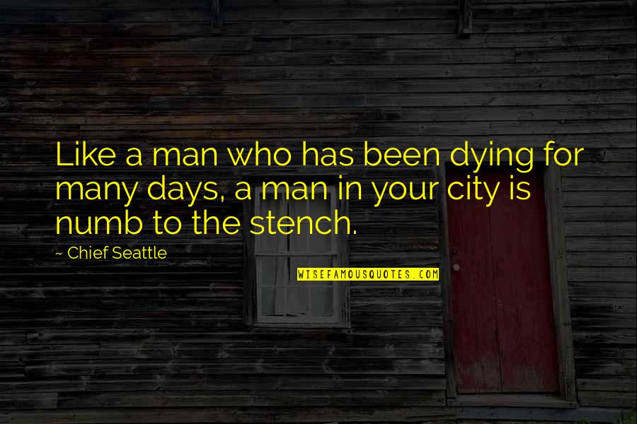 Selfie Man Quotes By Chief Seattle: Like a man who has been dying for Selfie Man Quotes By Chief Seattle: Like a man who has been dying for