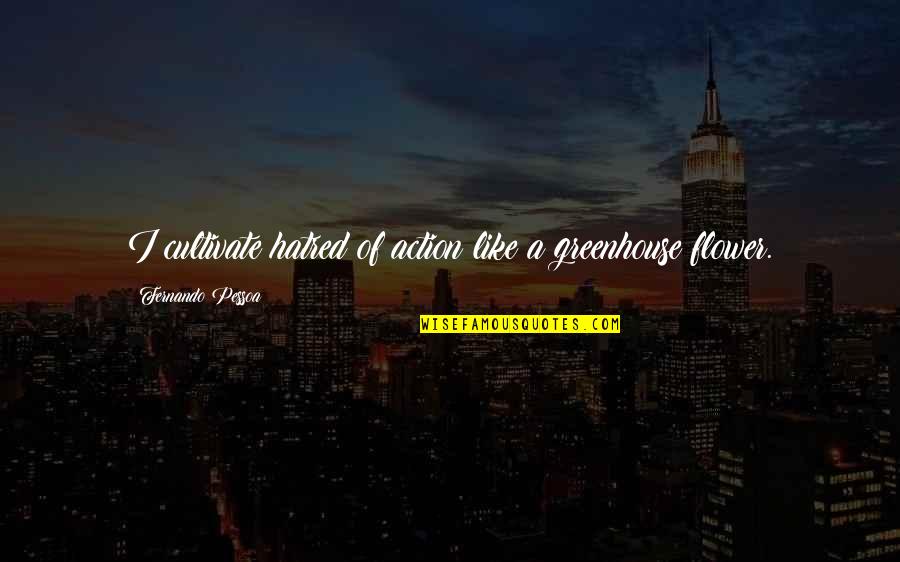 Selfish Spouses Quotes By Fernando Pessoa: I cultivate hatred of action like a greenhouse