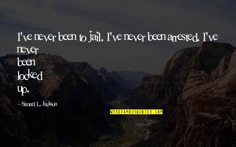 Selfmoment Quotes By Samuel L. Jackson: I've never been to jail. I've never been