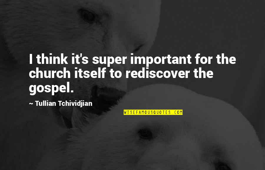 Selfmoment Quotes By Tullian Tchividjian: I think it's super important for the church
