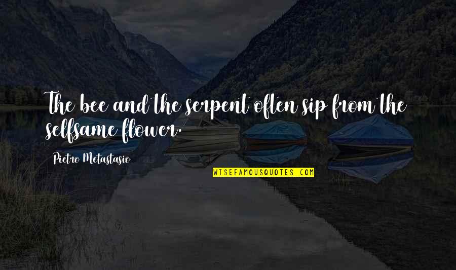 Selfsame Quotes By Pietro Metastasio: The bee and the serpent often sip from