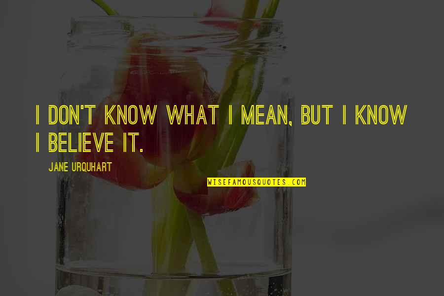 Selisih Kurs Quotes By Jane Urquhart: I don't know what I mean, but I